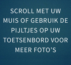 Scroll met uw muis of gebruik de pijltjes op uw toetsenbord voor meer afbeeldingen